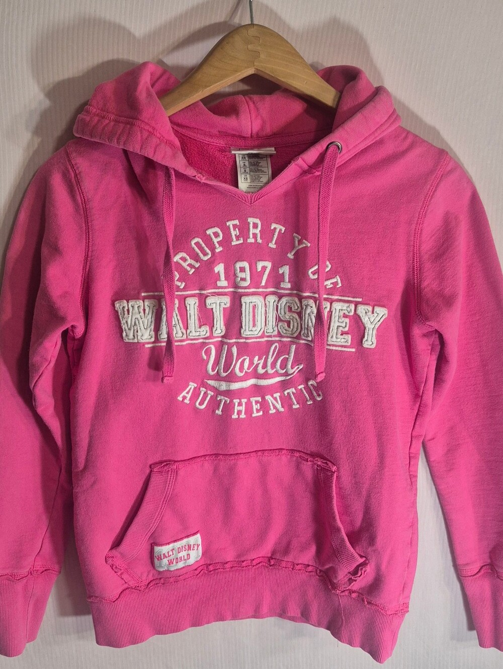 Walt Disney World Hoodie